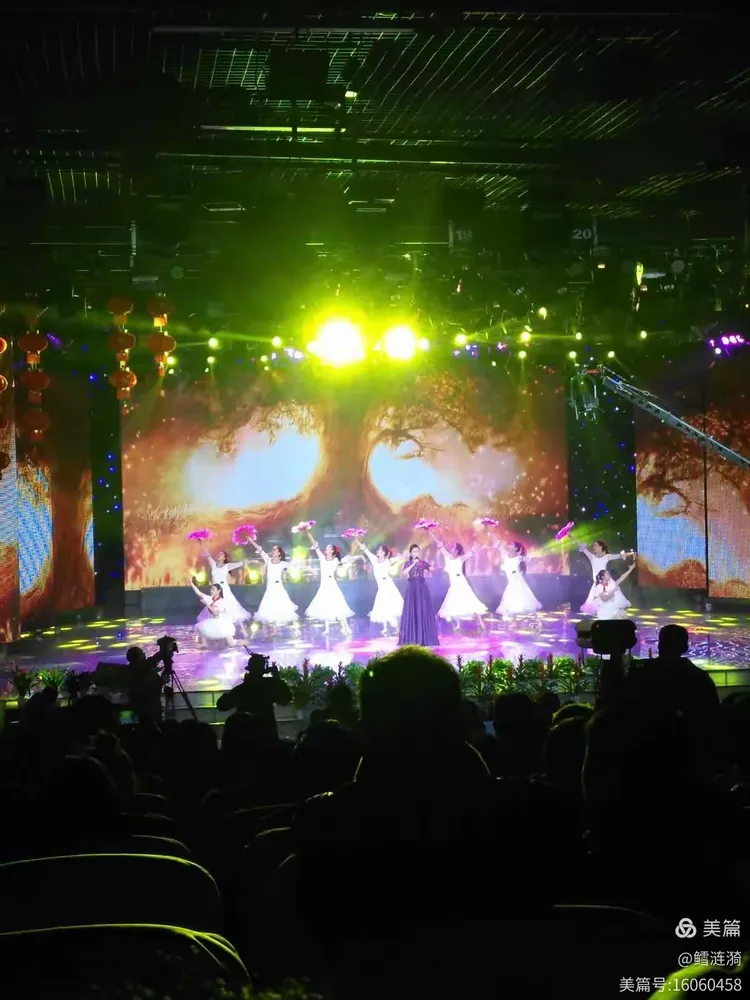 开云官方平台-公牛观众热烈欢呼！，Scout迎来十赛季出色发挥赢得满堂喝彩(s1旗下艺人新人哪个最漂亮)